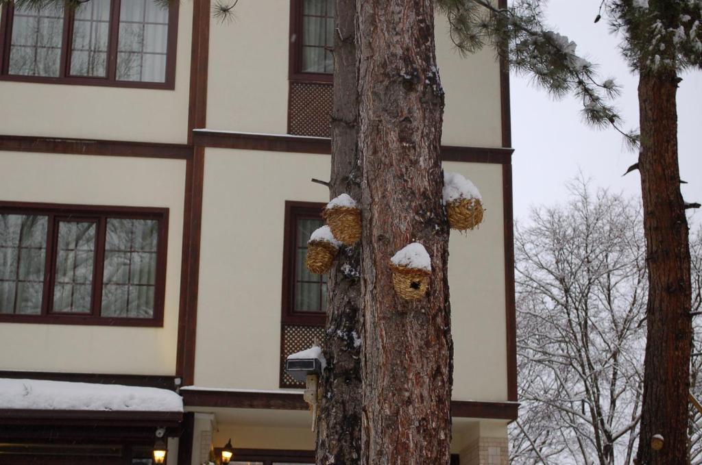 Diamond Park Hotel Safranbolu Luaran gambar